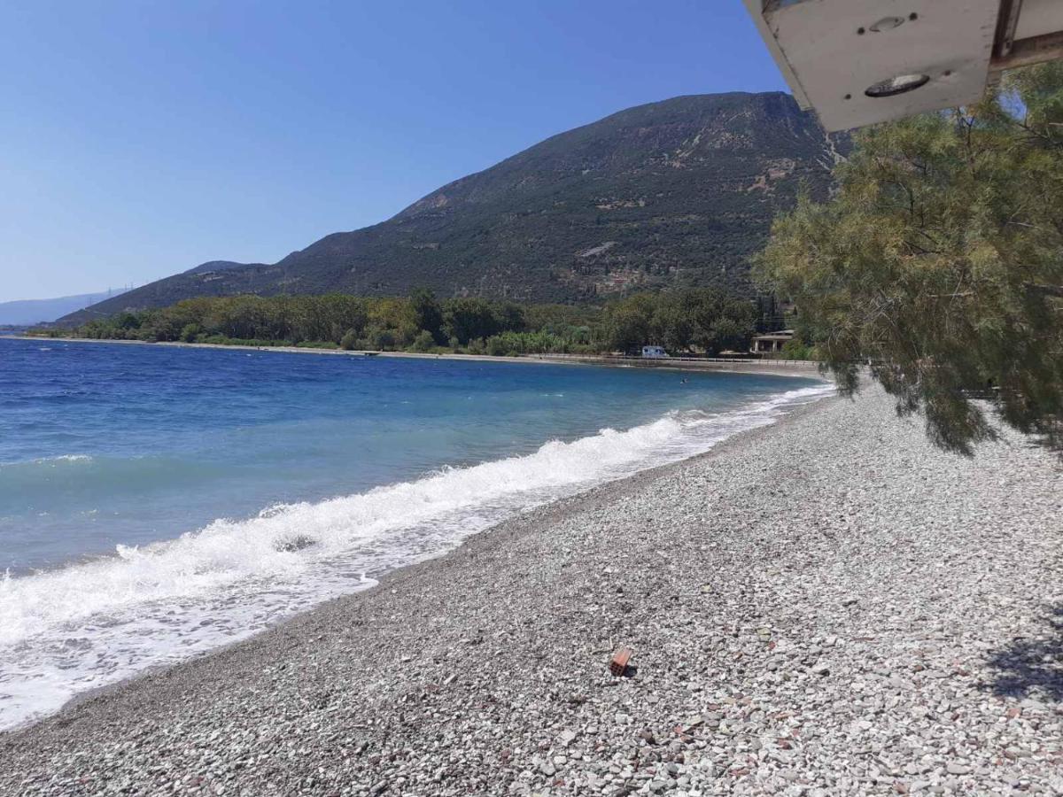 Glyfada'S Family Apartment Glyfada  Екстериор снимка