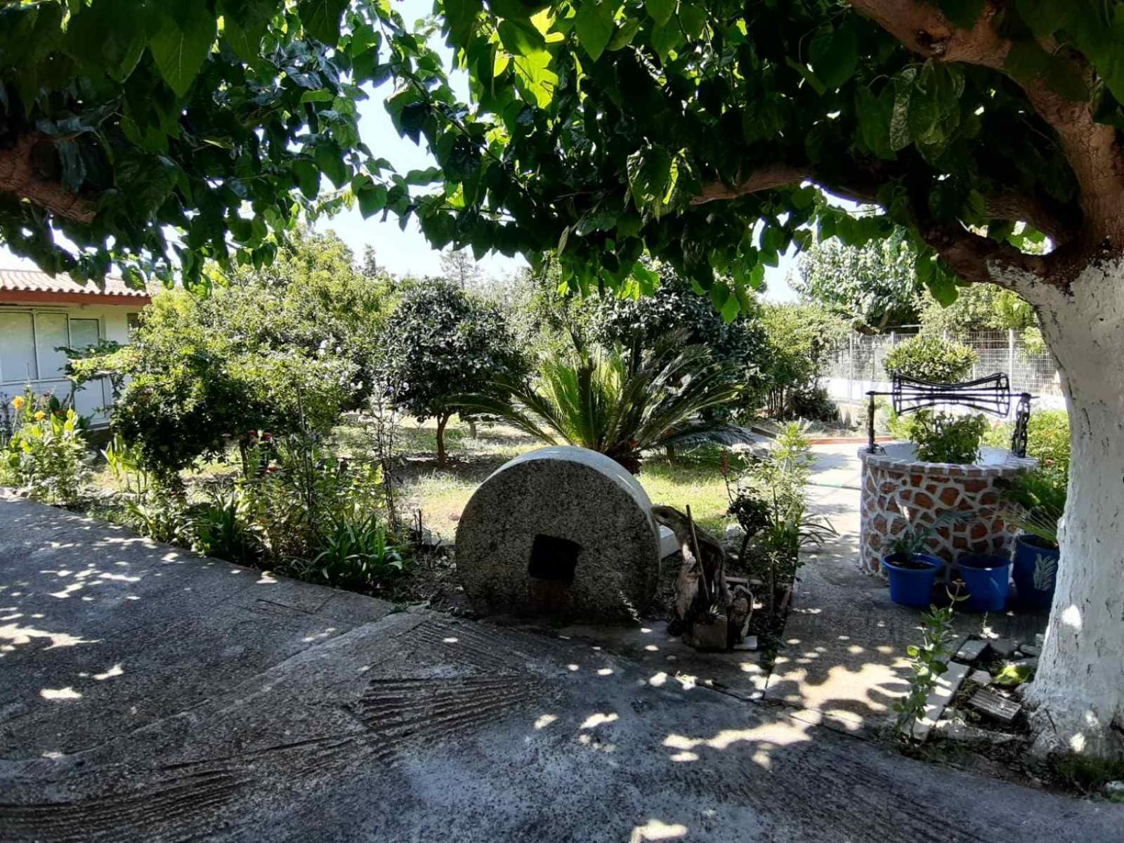 Glyfada'S Family Apartment Glyfada  Екстериор снимка